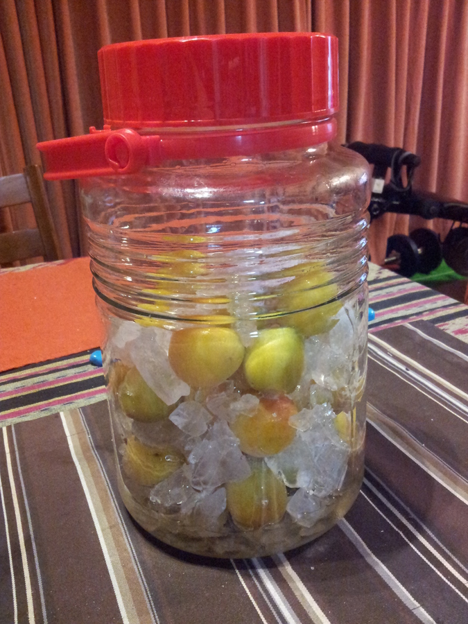20130618_195538.jpg